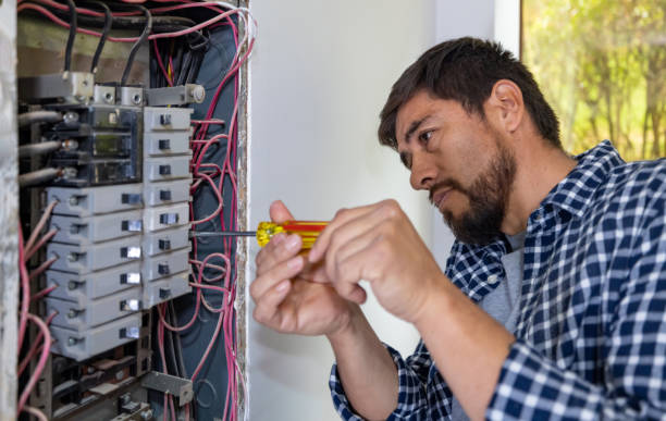 Best Local Electrician Companies  in Portage, PA